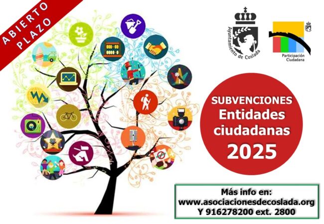 Abierto el plazo para que las entidades ciudadanas soliciten las subvenciones del Ayuntamiento de Coslada