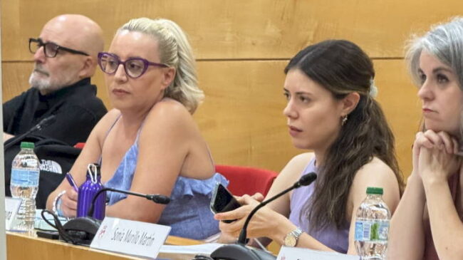 Más Madrid denuncia las faltas de respeto del PP durante el debate sobre Gaza en el Pleno de Coslada