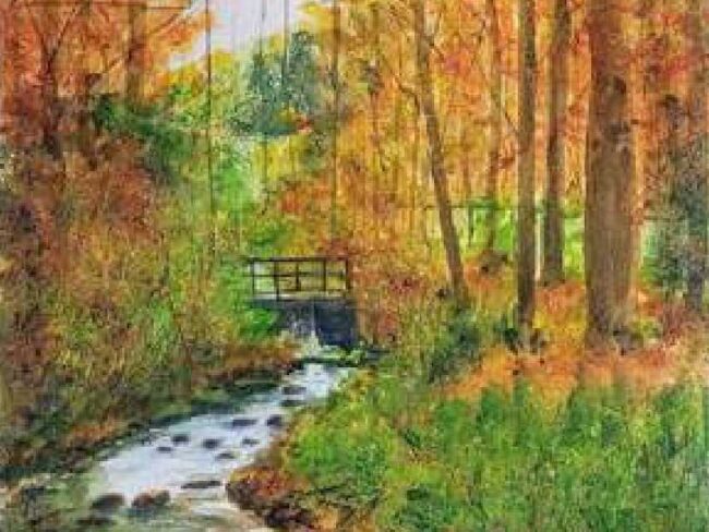 Exposición ‘Paisajes entre naturaleza y ciudad’ de Francisco José Carvajal