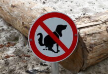 El PP pide adoptar medidas para la recogida de excrementos caninos en Coslada