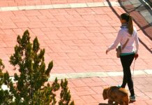 La Policía Local de Coslada desarrolla una campaña de vigilancia y control de animales domésticos