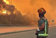 Ayudas a la vivienda, asesoramiento jurídico y renovación automática del paro: las medidas de la Comunidad por los incendios