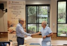 Coslada premia a más de cien mayores en los Torneos de Juegos de Mesa Coslada premia a más de cien mayores en los Torneos de Juegos de Mesa - imagen 1