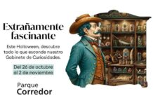 Parque Corredor celebra Halloween con un Gabinete de Curiosidades y más de 2.000 premios Parque Corredor celebra Halloween con un Gabinete de Curiosidades y más de 2.000 premios - imagen 1