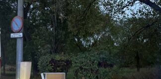La Policía Local denuncia un vertido de escombros en la calle Luxemburgo de Coslada - imagen 2